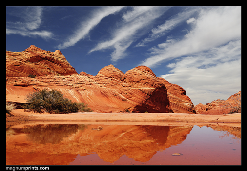 Coyote Buttes Puddle
